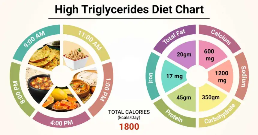 Key Strategies of The Triglyceride Revolution