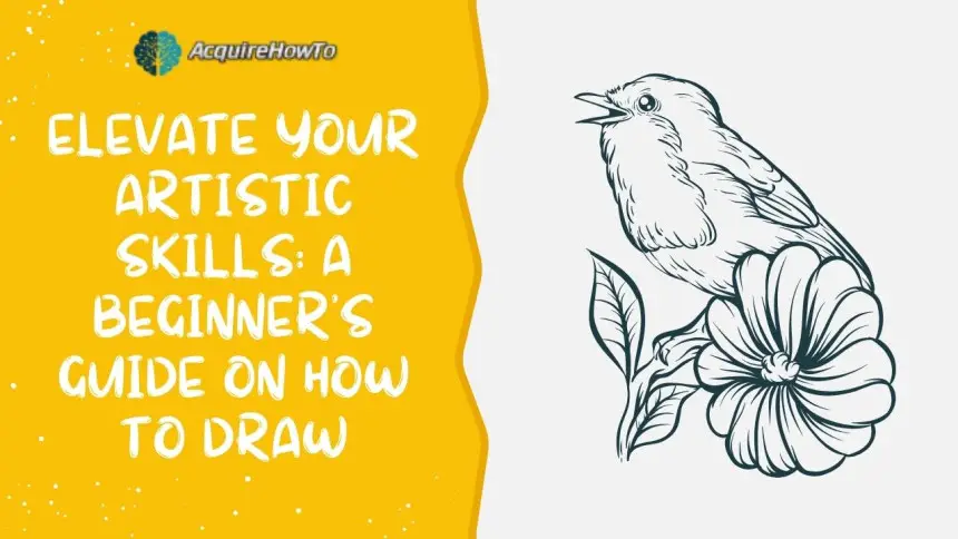 Elevate Your Artistic Skills: A Beginner's Guide on How to Draw